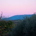 Casa Do Poco - Serra Da Estrela Farm stay Seia