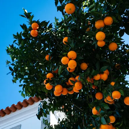 Casa Do Poço - Serra Da Estrela Séjour à la ferme