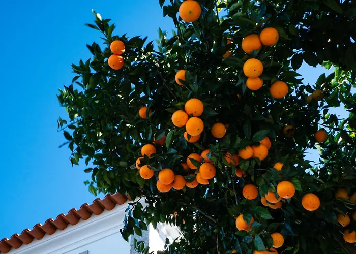 Casa Do Poço - Serra Da Estrela Alojamento de Turismo Rural